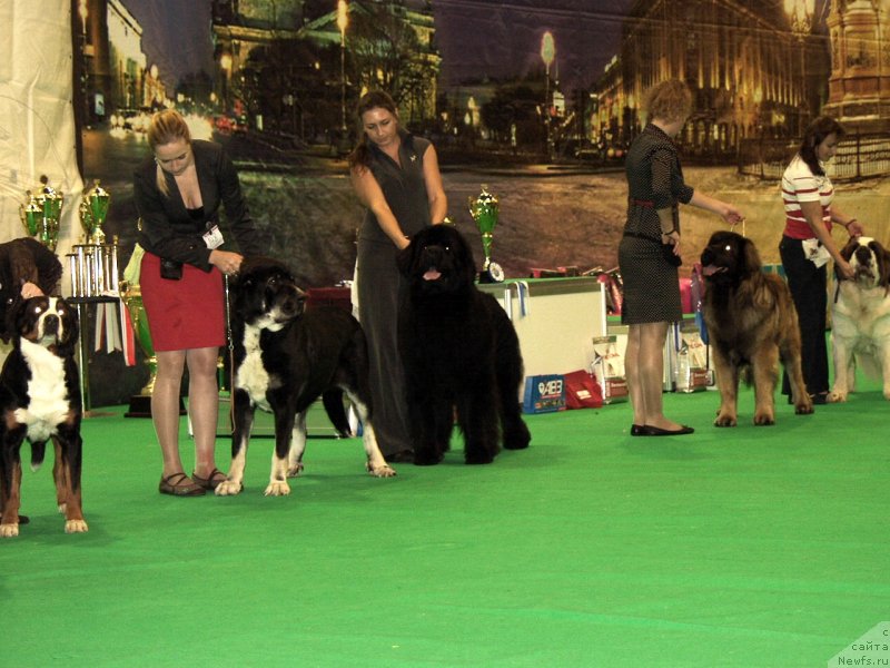 Фотография № 140748