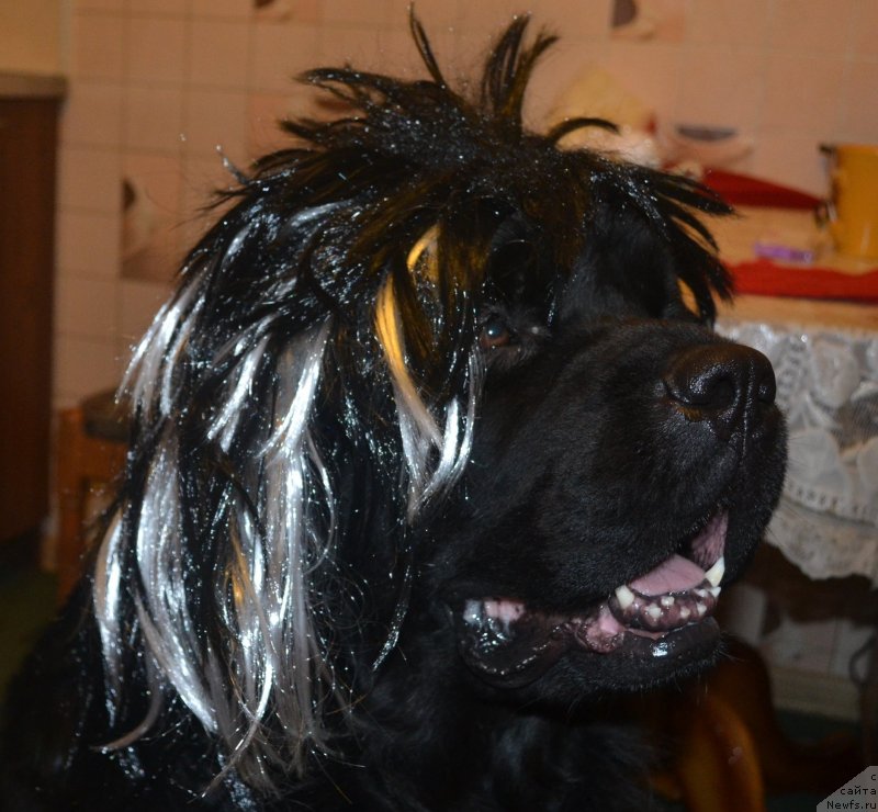 Фотография № 140758