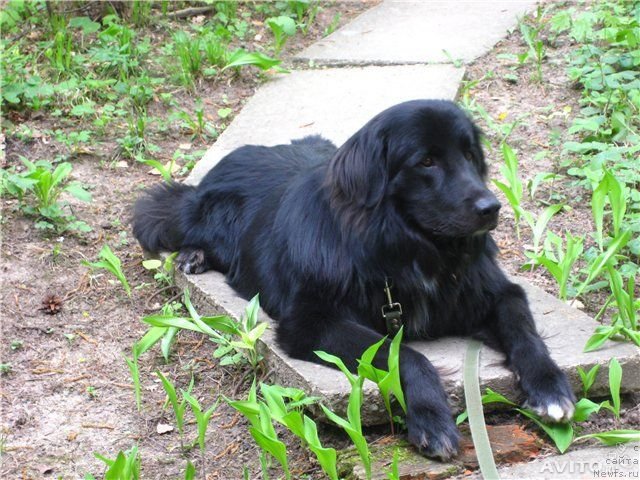 Фотография № 140766