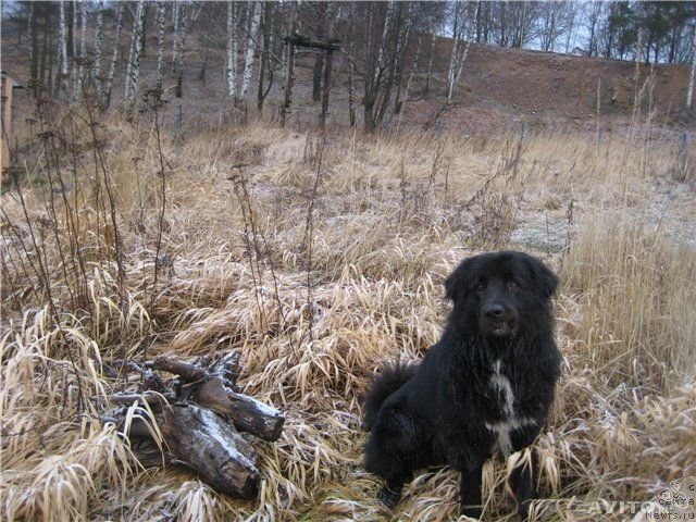 Фотография № 140767