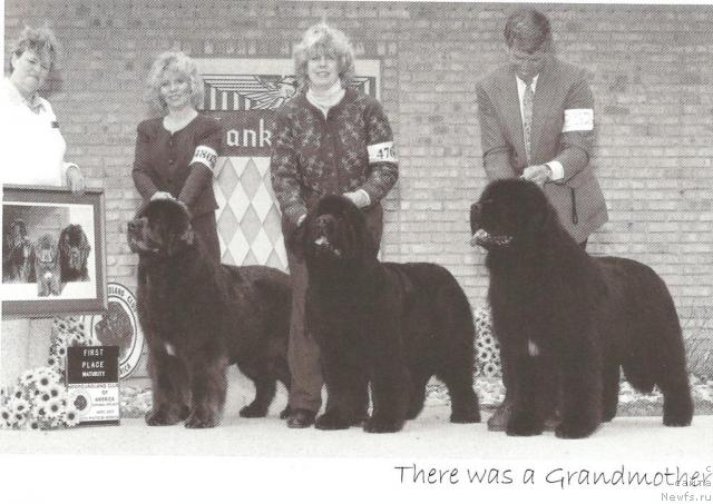 Фотография № 14079