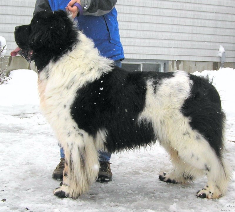 Фотография № 140794