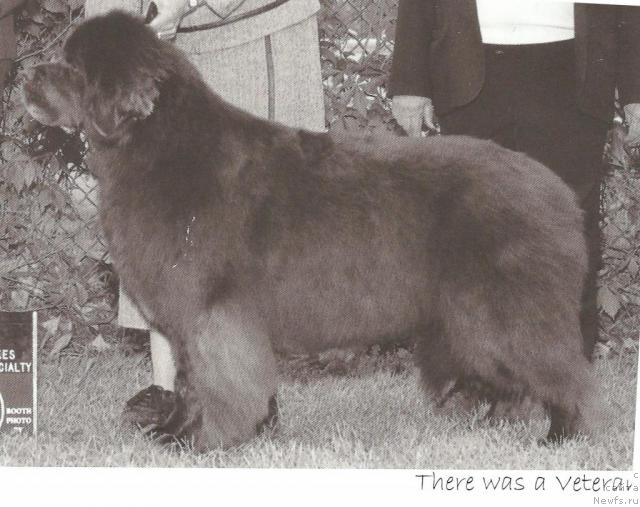 Фотография № 14080