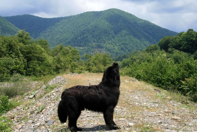 Фотография № 14085