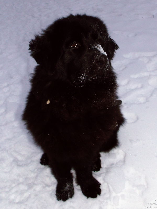 Фотография № 140867