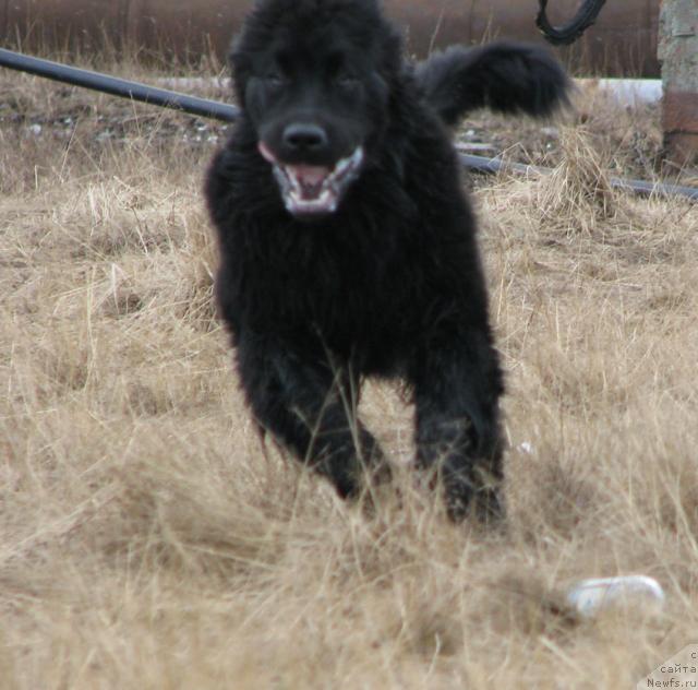 Фотография № 14087