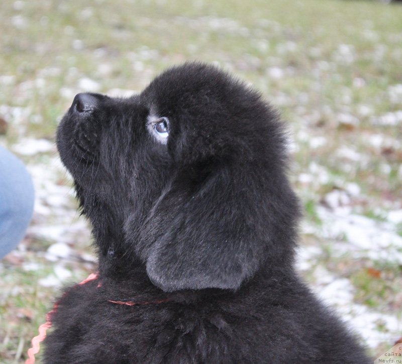 Фото: Бегущая по волнам Ричин Старс