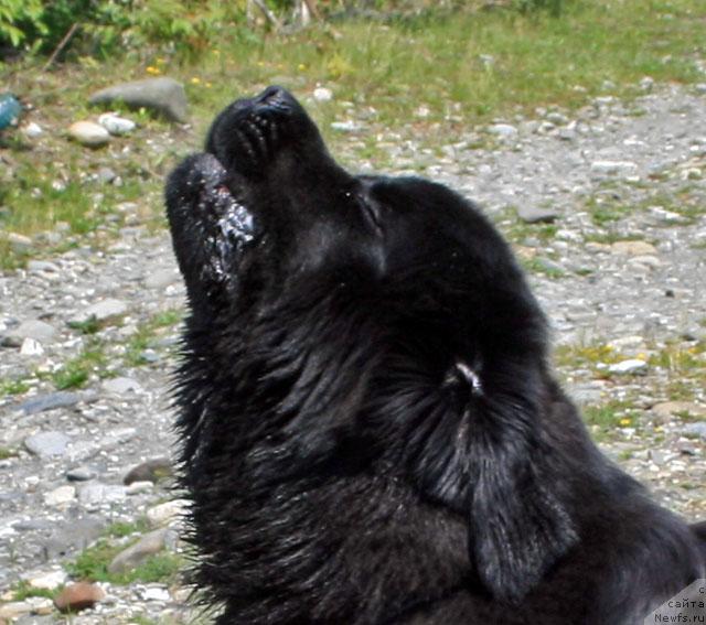 Фотография № 14093