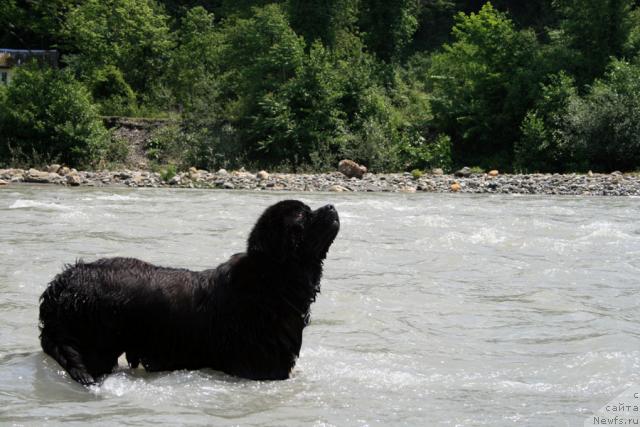 Фотография № 14094