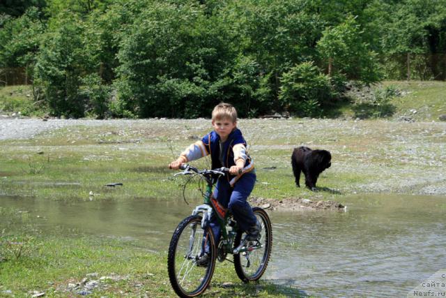 Фотография № 14096