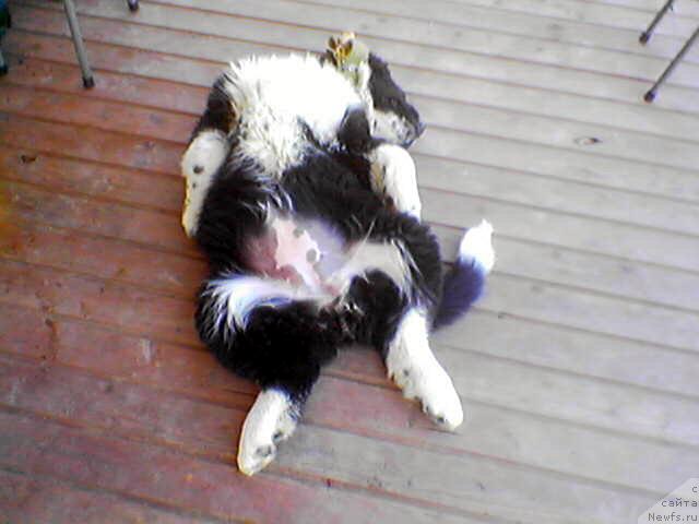 Фото: Владимир Красников