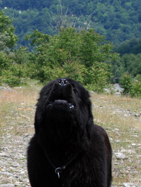 Фотография № 14098