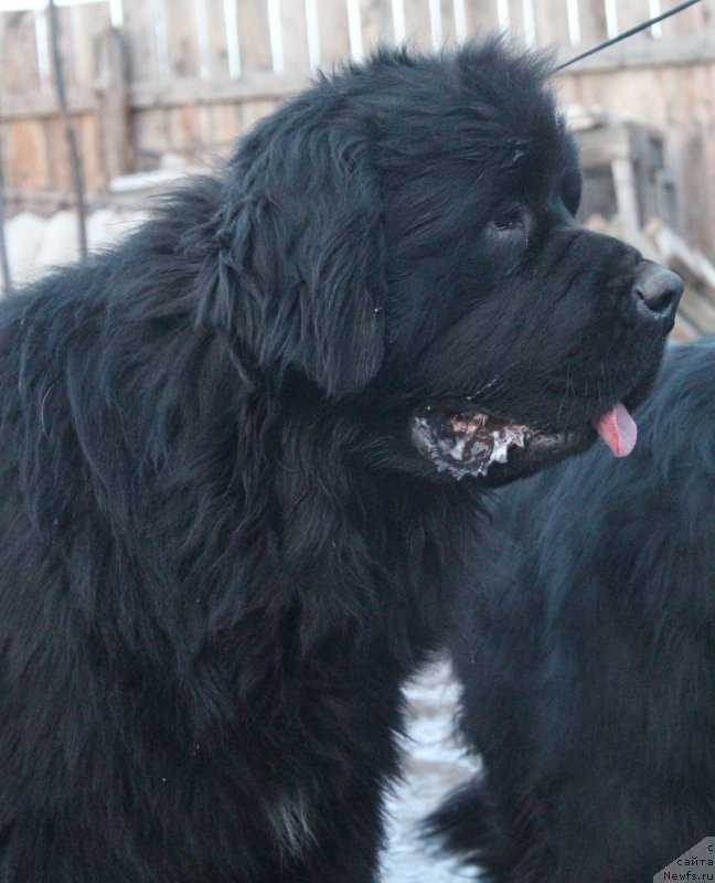 Фотография № 140990