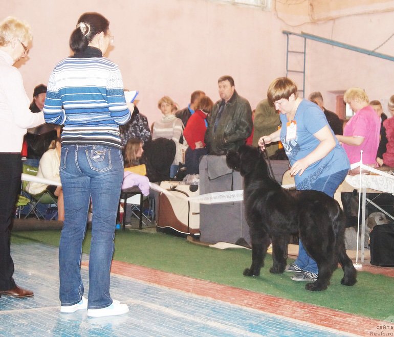 Фотография № 140993