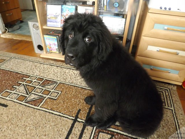 Фотография № 140994