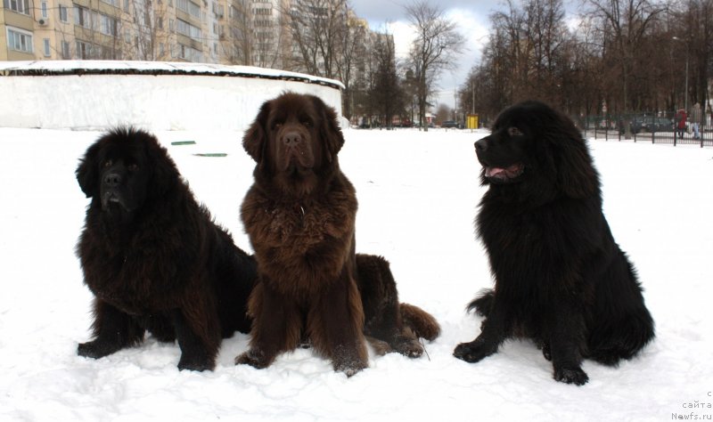 Фотография № 141030