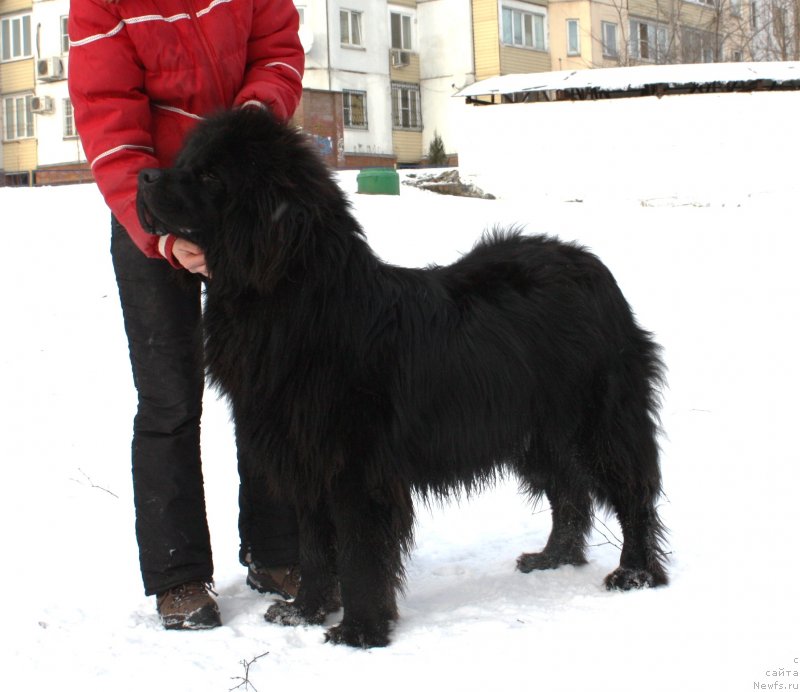 Фотография № 141034