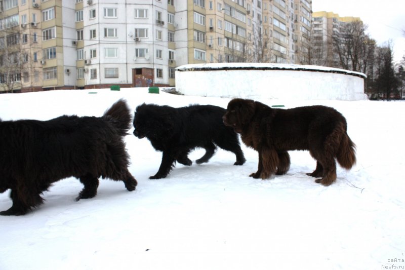 Фотография № 141036