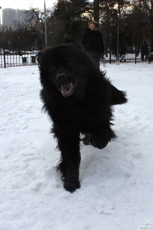 Фотография № 141037