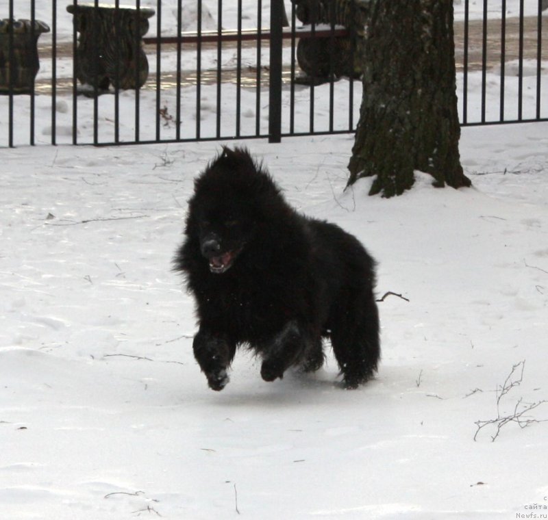 Фотография № 141038