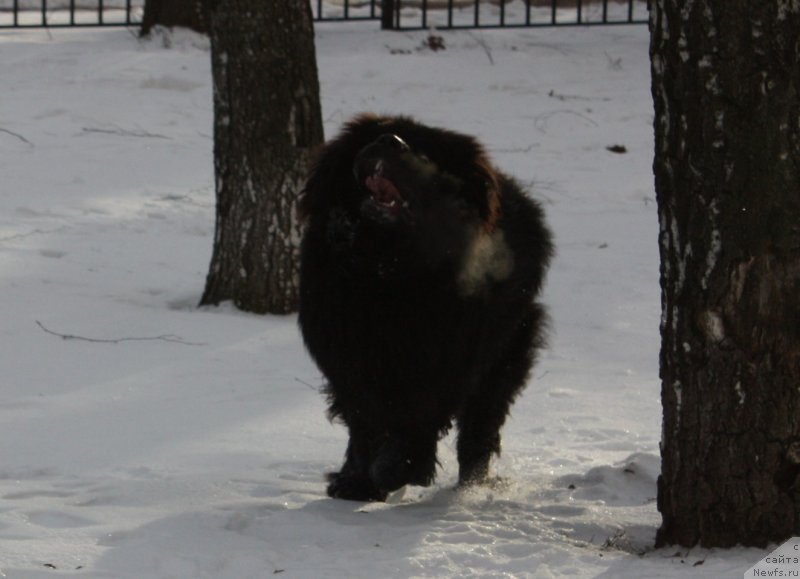 Фотография № 141039