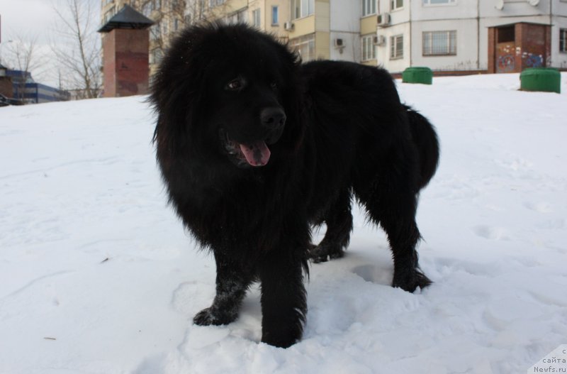 Фотография № 141041