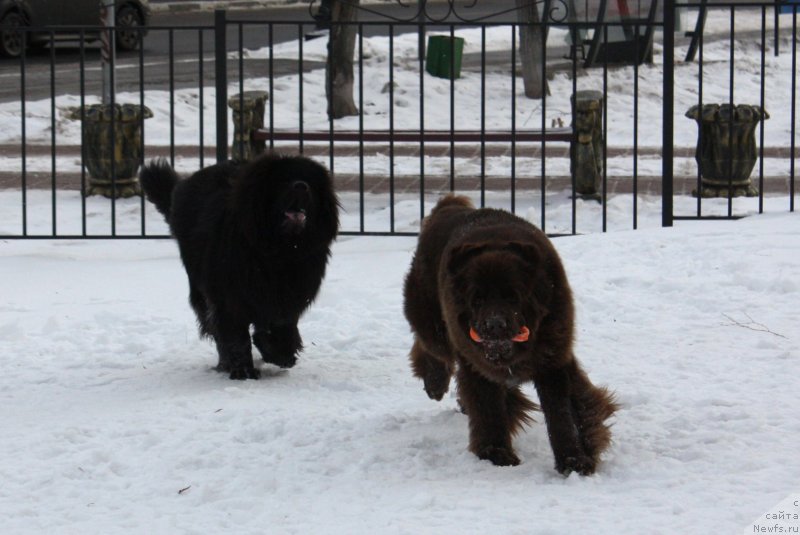 Фотография № 141044