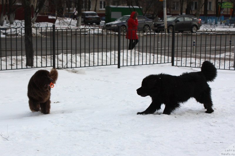 Фотография № 141045