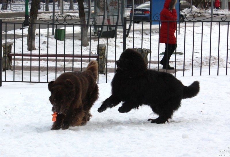 Фотография № 141046