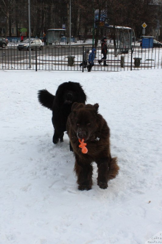 Фотография № 141048