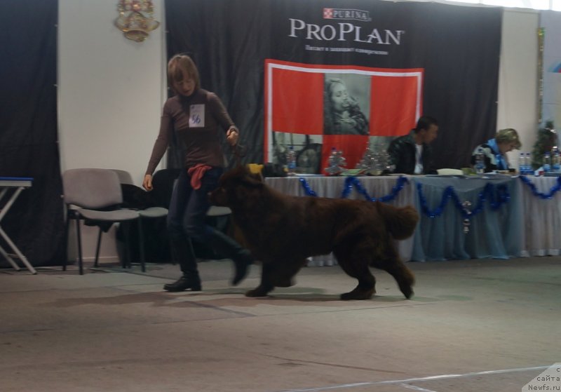 Фотография № 141061