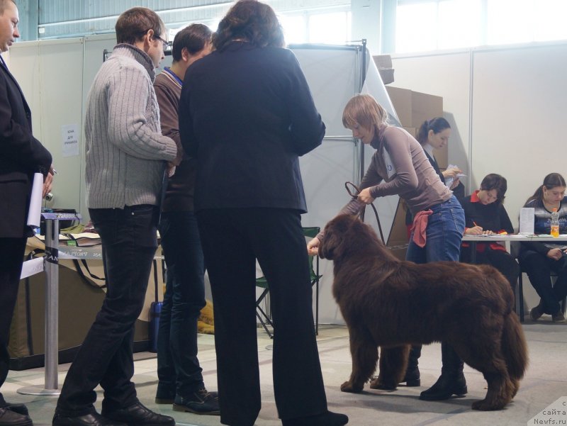 Фотография № 141062