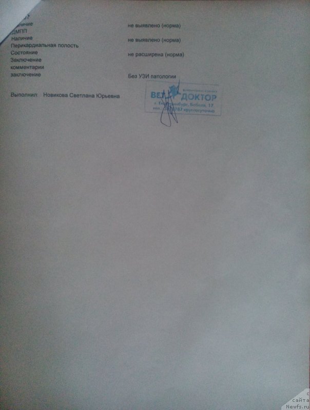 Фото: ньюфаундленд Плюшевая Панда Ферреро Ронд Нуар (Plushevaya Panda Ferrero Rond Noir)