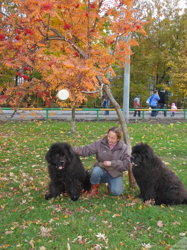 Фотография № 141076