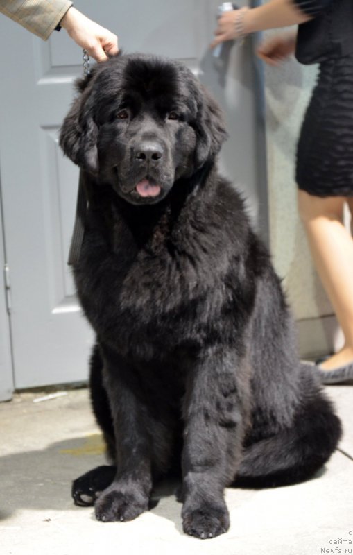 Фотография № 141109