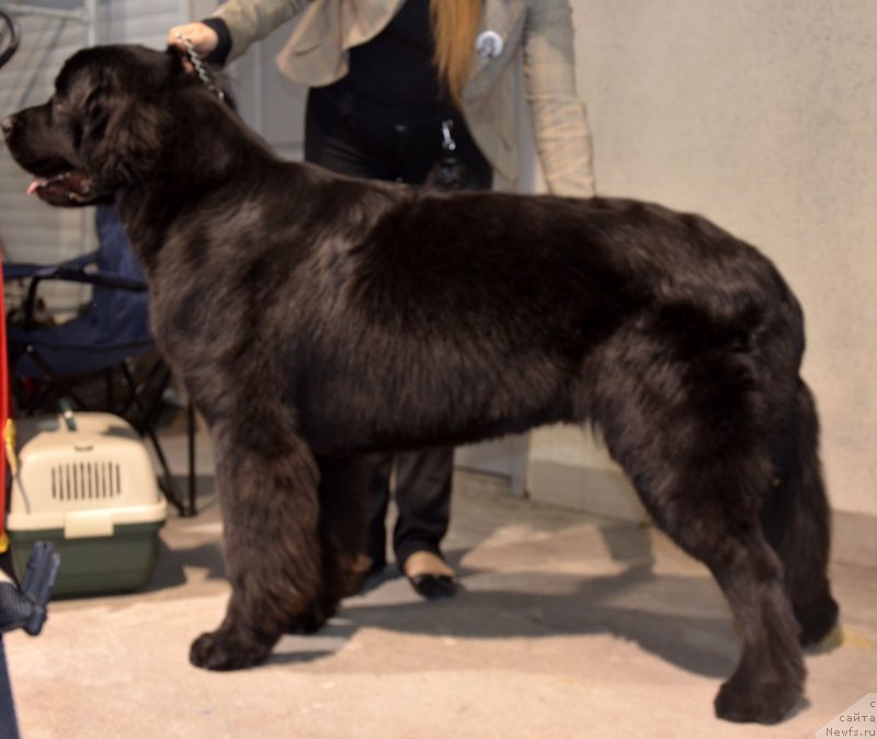 Фотография № 141110