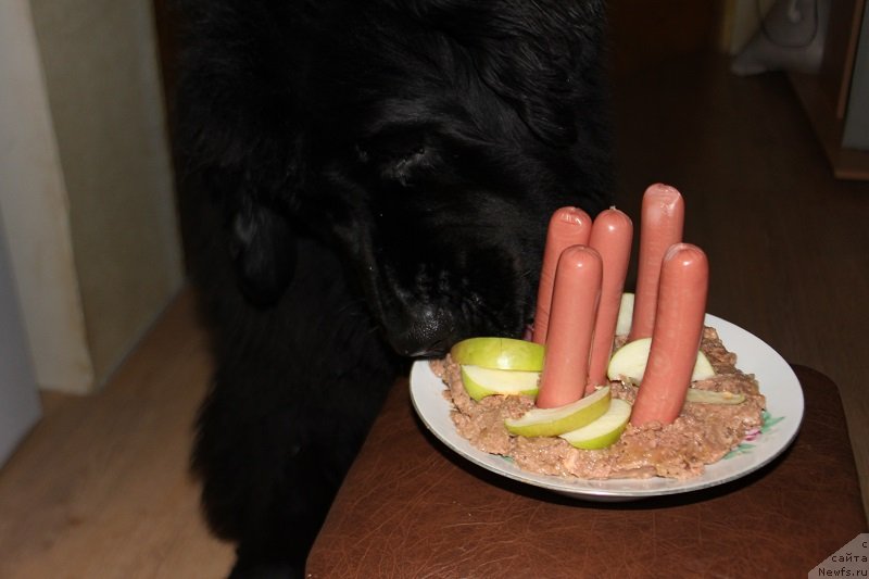 Фотография № 141131