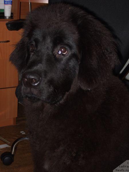 Фотография № 14119