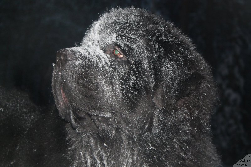 Фотография № 141234