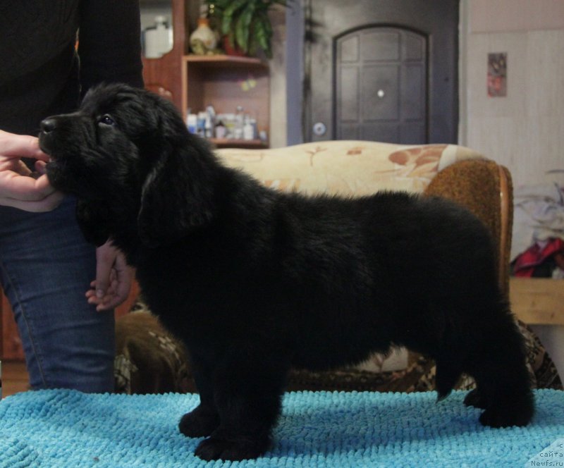 Фотография № 141235