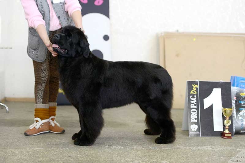 Фотография № 141253