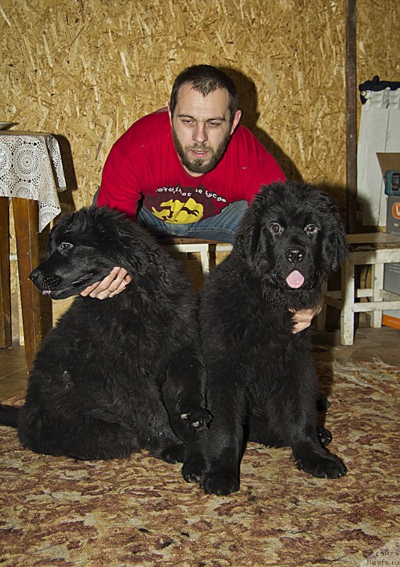 Фотография № 141255