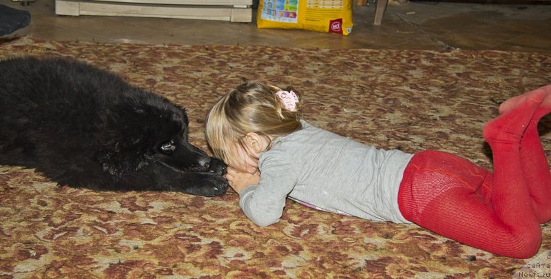 Фотография № 141260