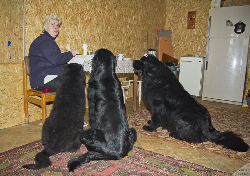 Фотография № 141265