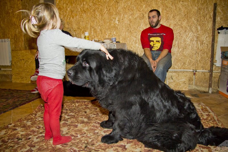 Фотография № 141266