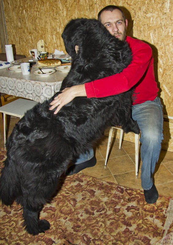 Фотография № 141269