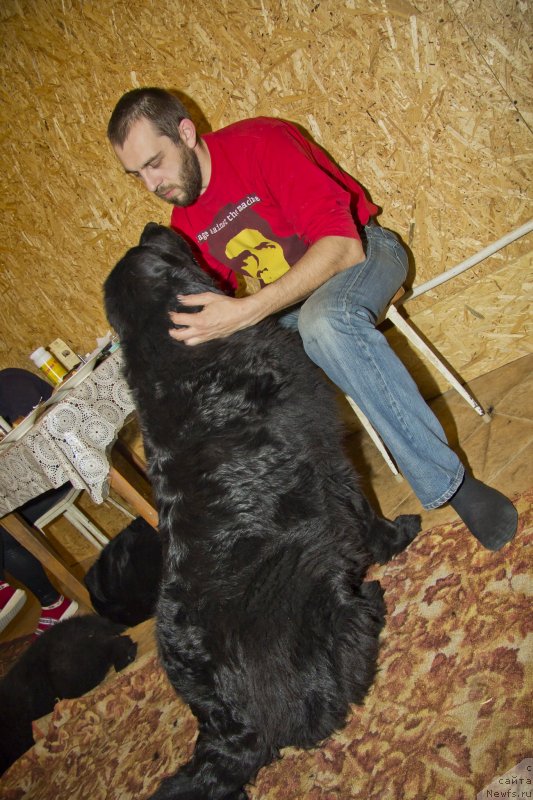 Фотография № 141270