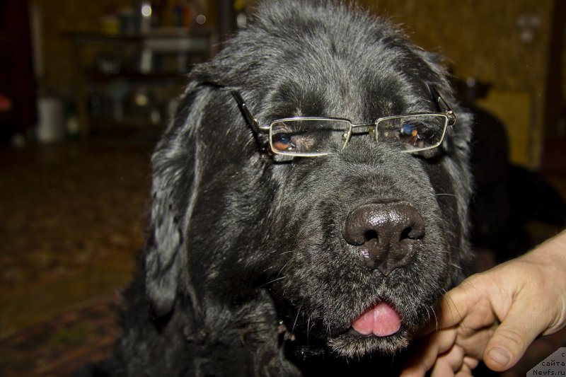 Фотография № 141272