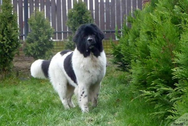 Фотография № 141284