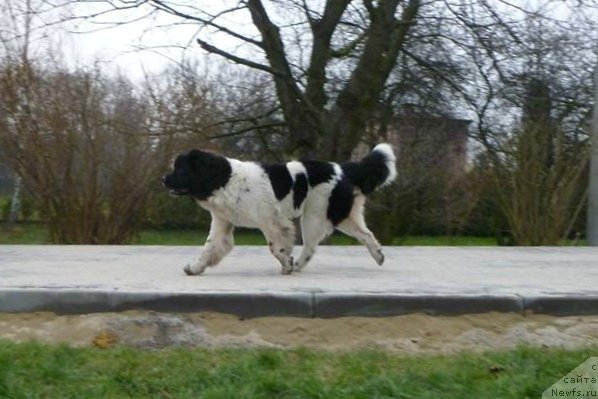 Фотография № 141286